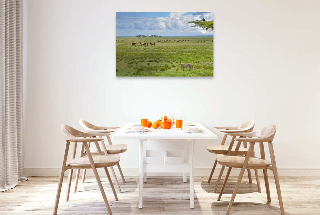 Premium Textil-Leinwand Wildtiere