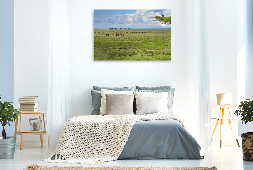 Premium Textil-Leinwand Wildtiere