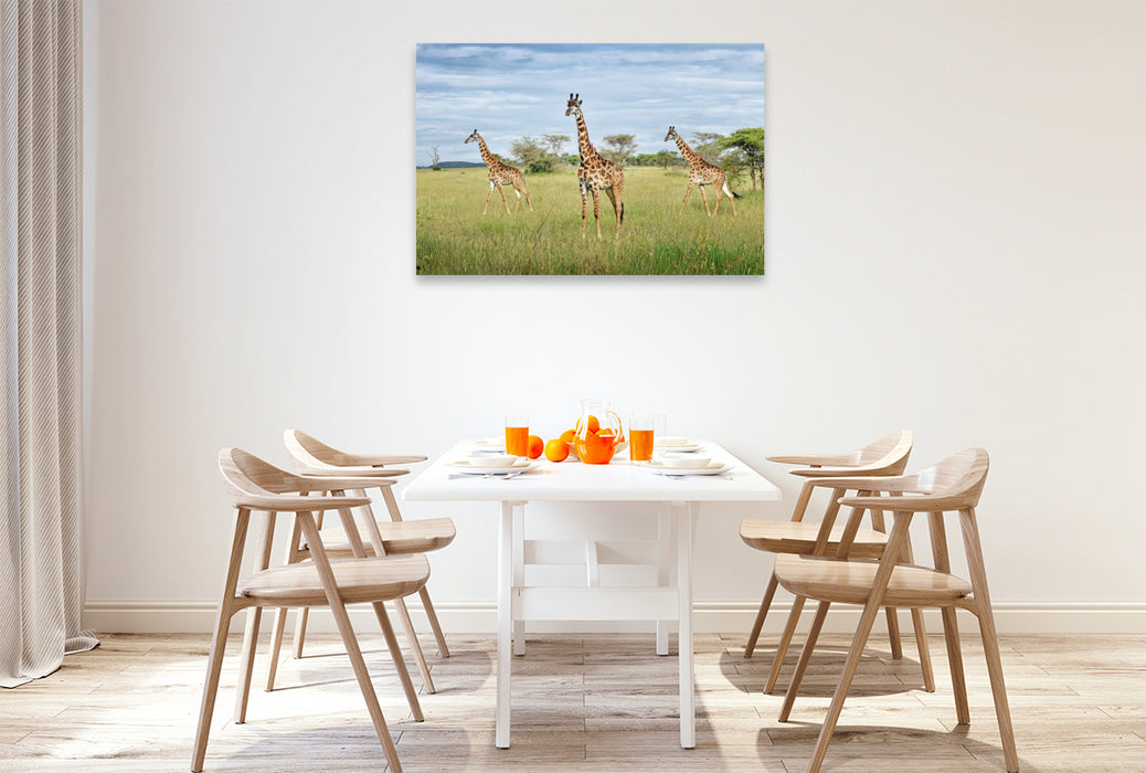 Premium Textil-Leinwand Giraffen