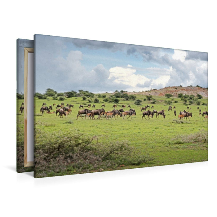 Premium Textil-Leinwand Gnus