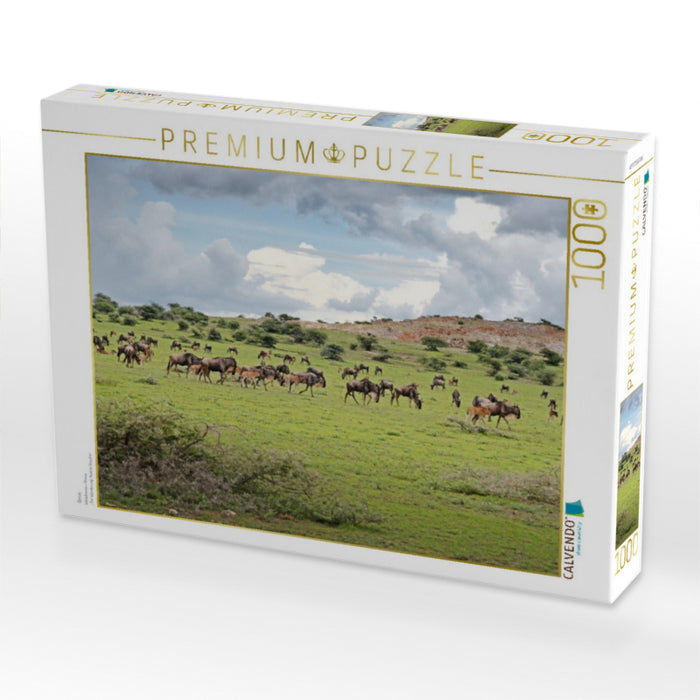 Gnus - CALVENDO Foto-Puzzle'