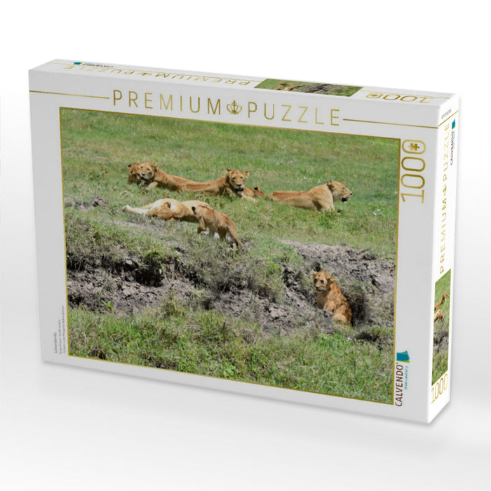 Löwenfamilie - CALVENDO Foto-Puzzle'