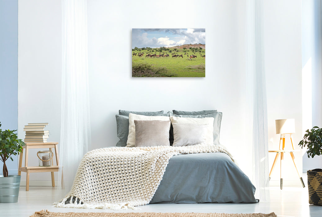 Premium Textil-Leinwand Gnus