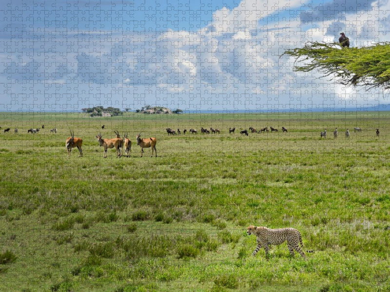 Wildtiere - CALVENDO Foto-Puzzle'
