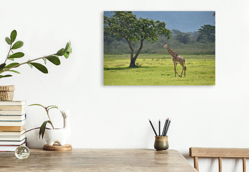 Premium Textil-Leinwand Giraffe