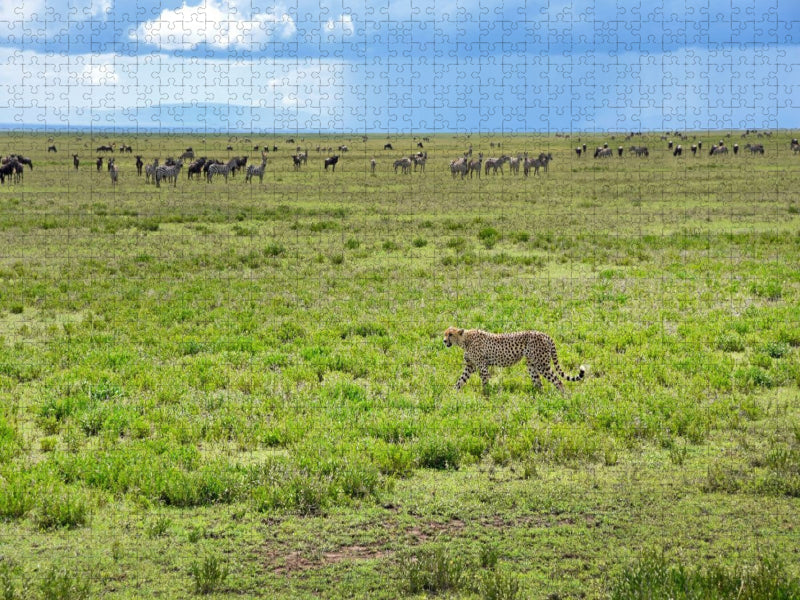 Serengeti-Nationalpark - CALVENDO Foto-Puzzle'