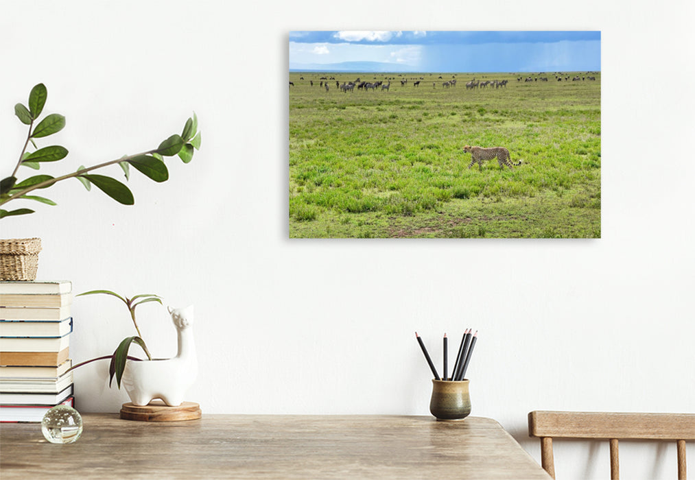 Premium Textil-Leinwand Serengeti-Nationalpark