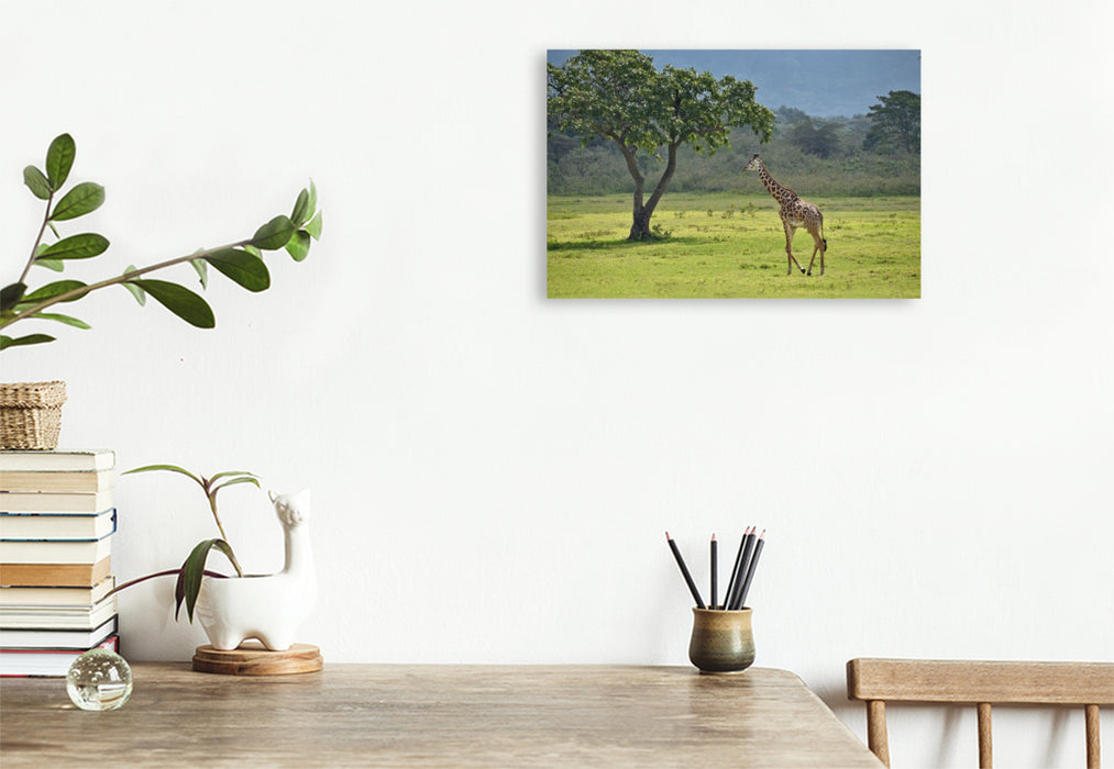 Premium Textil-Leinwand Giraffe