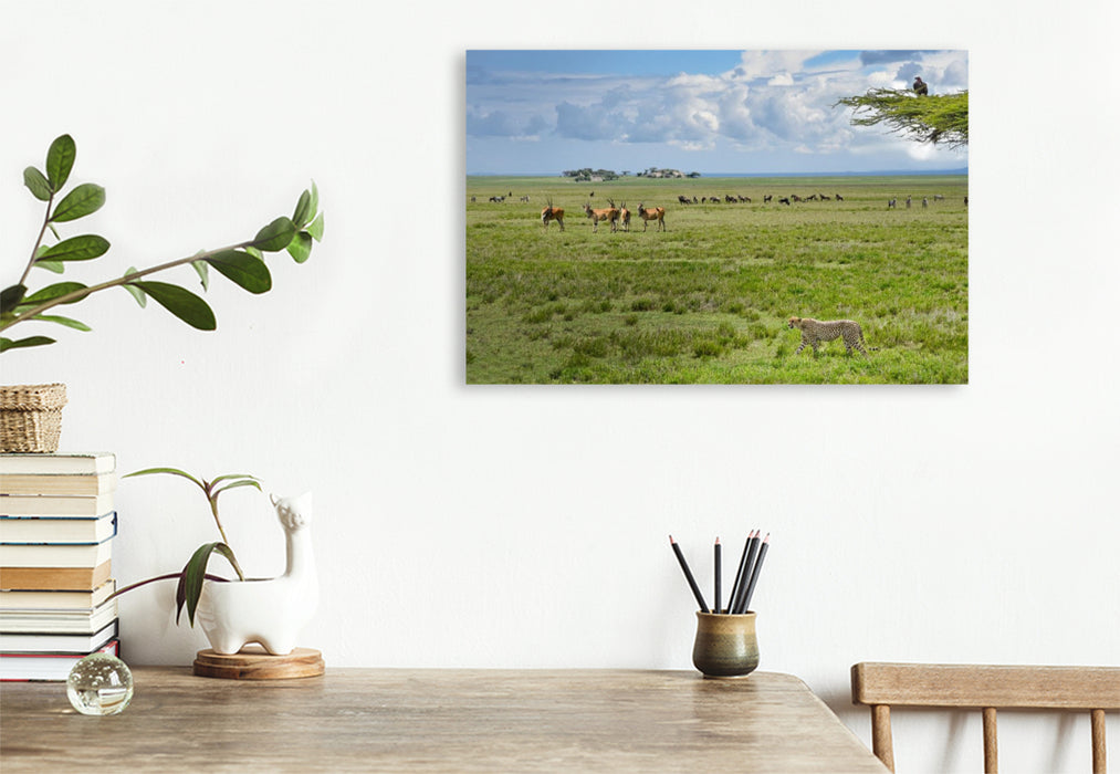 Premium Textil-Leinwand Wildtiere