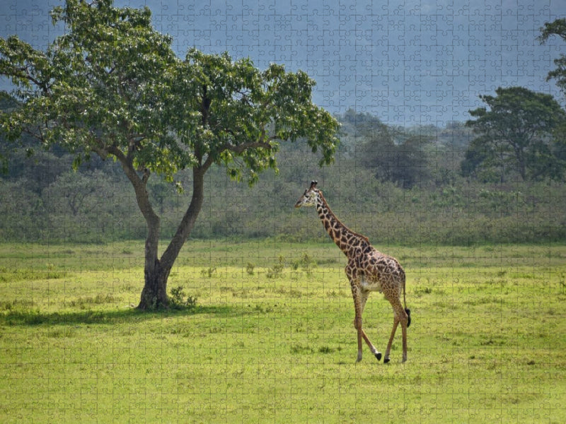 Giraffe - CALVENDO Foto-Puzzle'