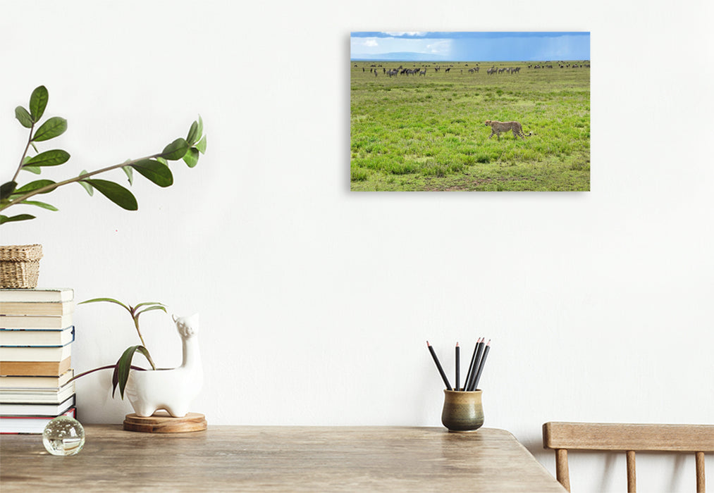 Premium Textil-Leinwand Serengeti-Nationalpark