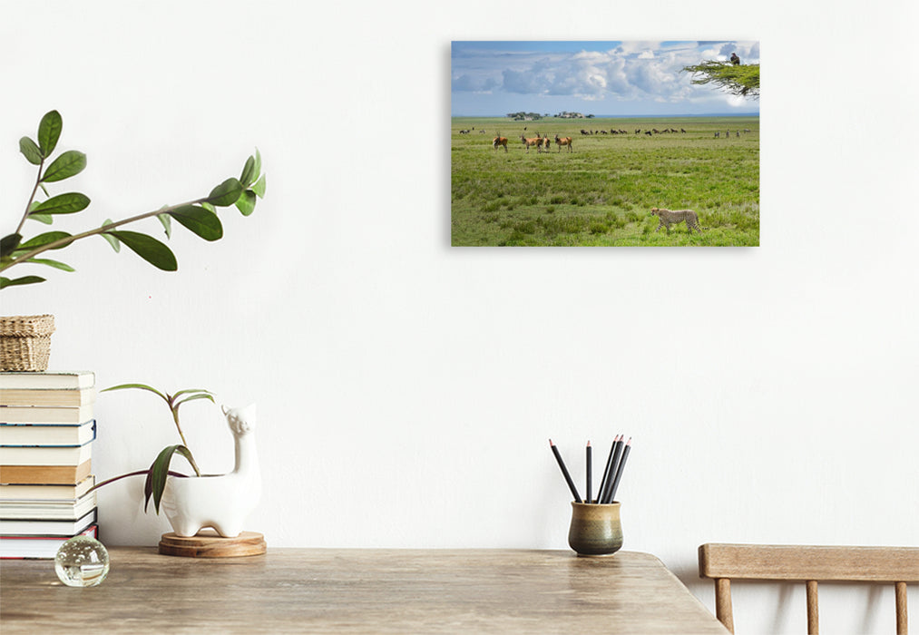 Premium Textil-Leinwand Wildtiere