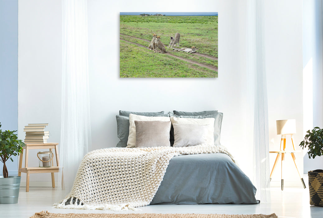 Premium Textil-Leinwand Geparden
