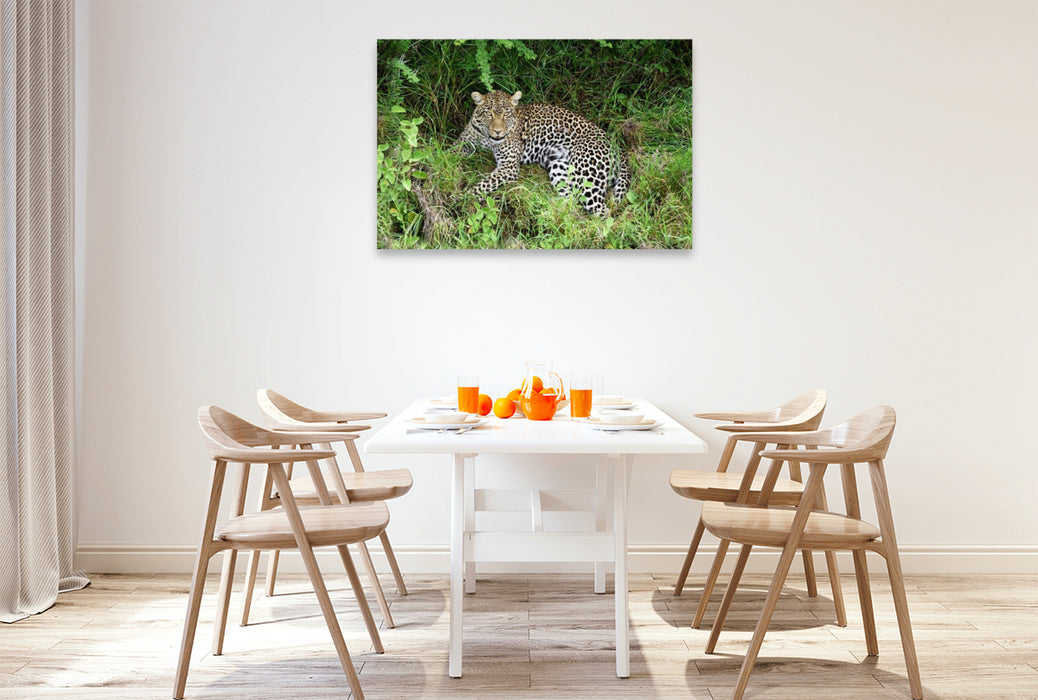 Premium Textil-Leinwand Leopardin