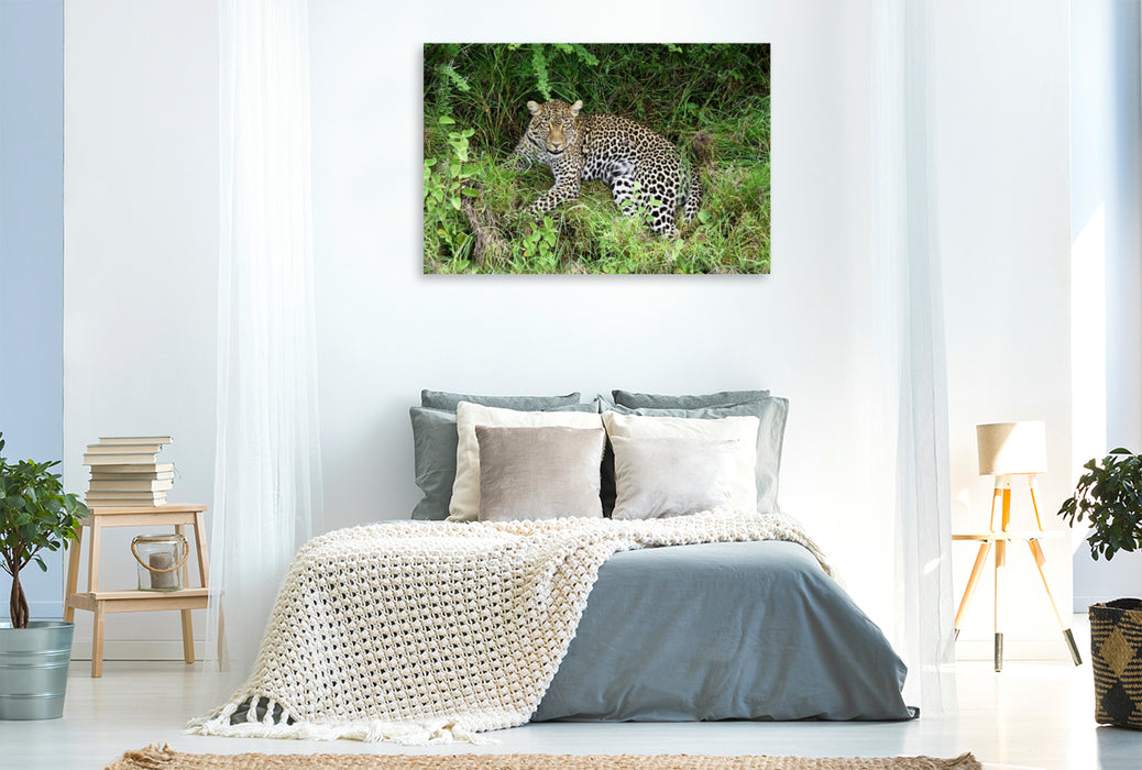 Premium Textil-Leinwand Leopardin