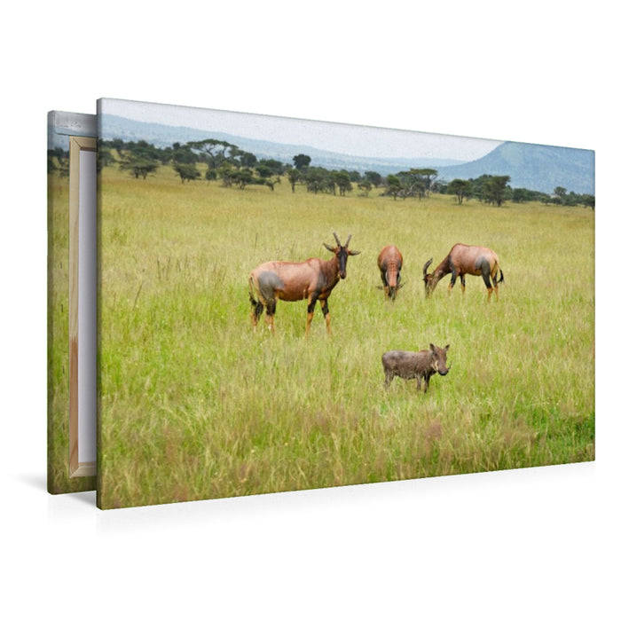 Premium Textil-Leinwand Antilopen und Warzenschwein