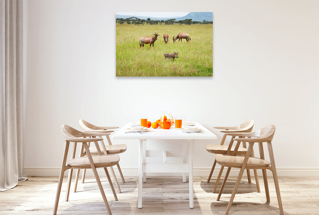 Premium Textil-Leinwand Antilopen und Warzenschwein