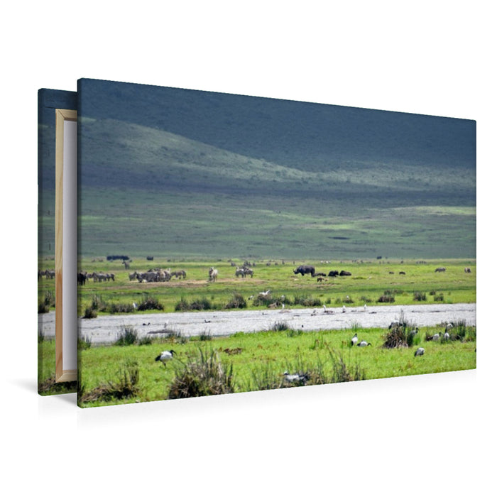 Premium Textil-Leinwand Nashorn