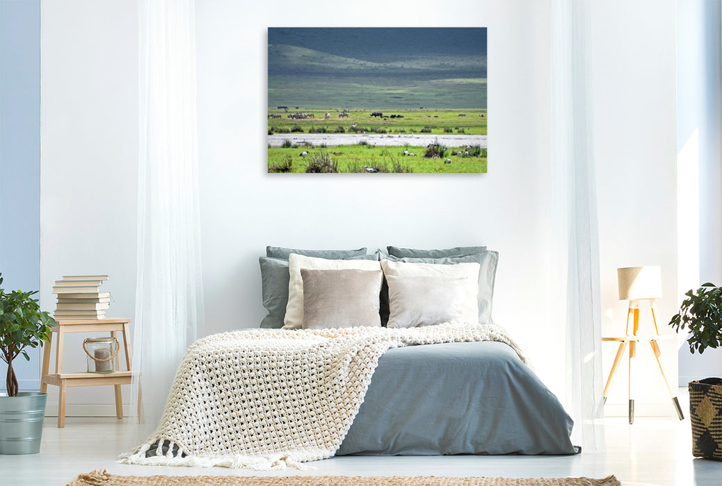 Premium Textil-Leinwand Nashorn