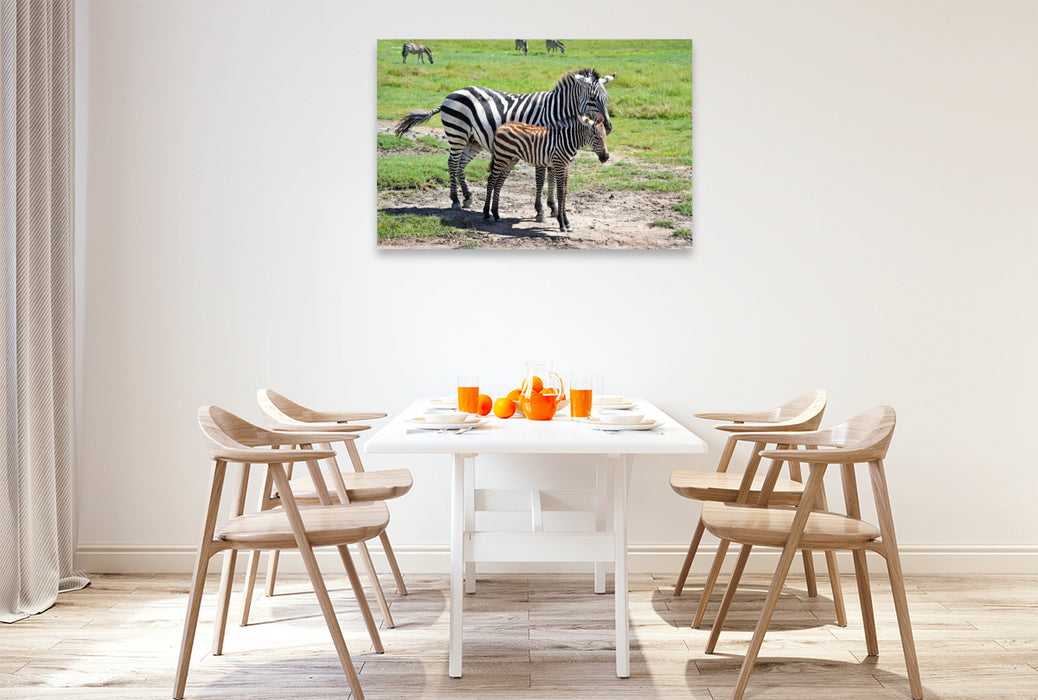 Premium Textil-Leinwand Zebras