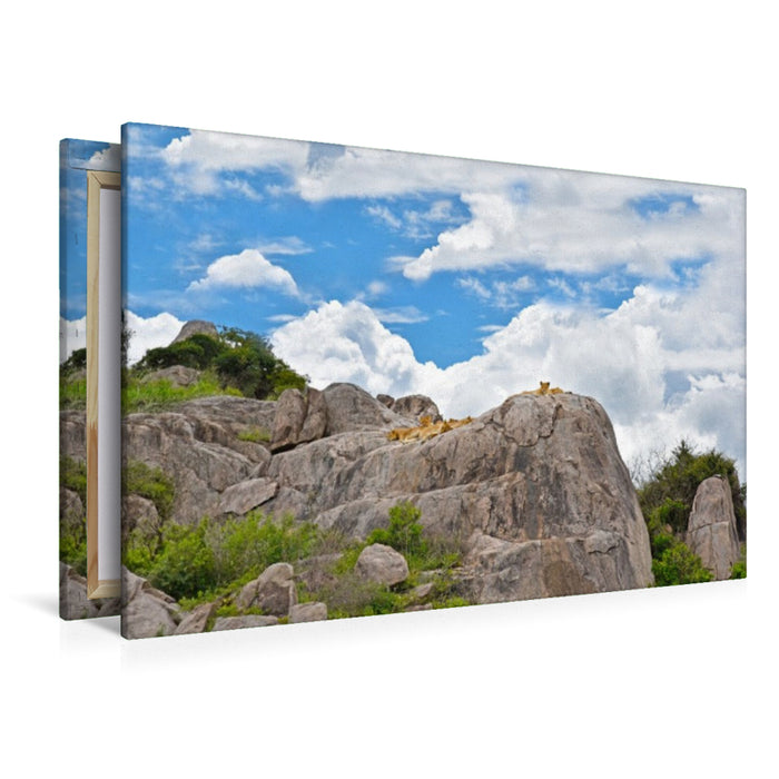Premium Textil-Leinwand Löwenkinder