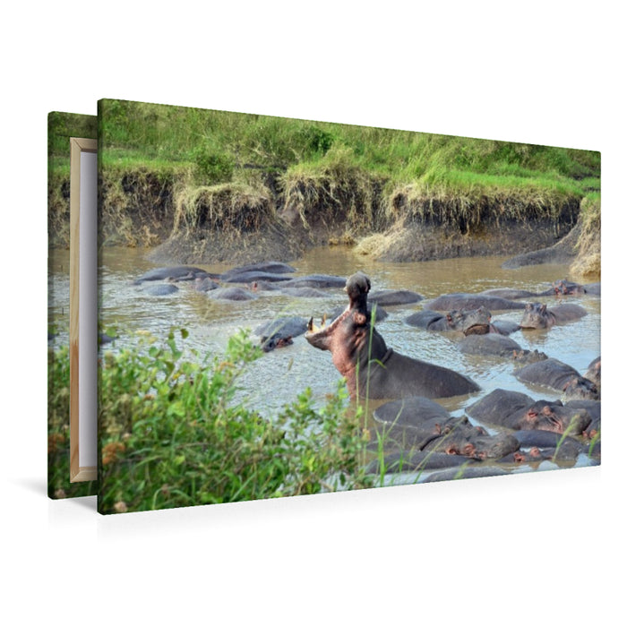 Premium Textil-Leinwand Nilpferd