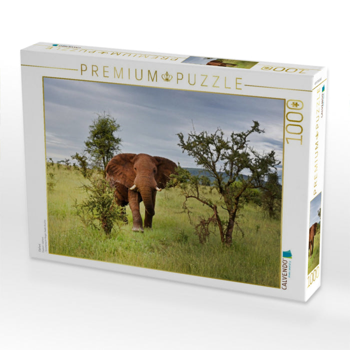 Elefant - CALVENDO Foto-Puzzle'
