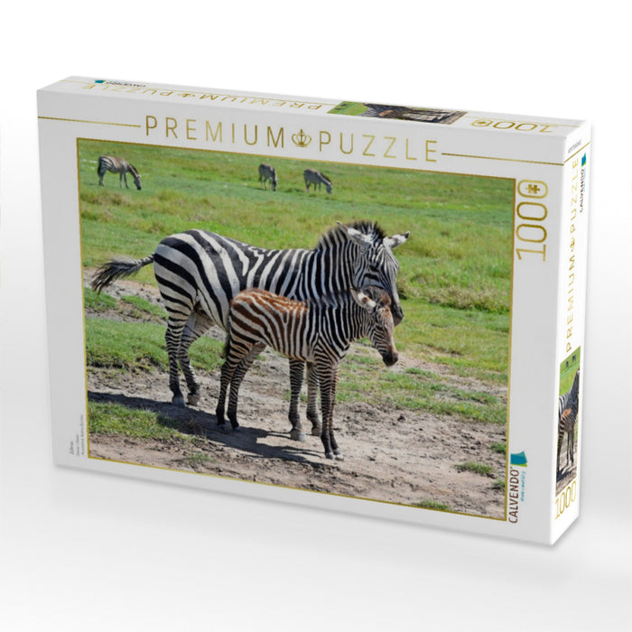 Zebras - CALVENDO Foto-Puzzle'