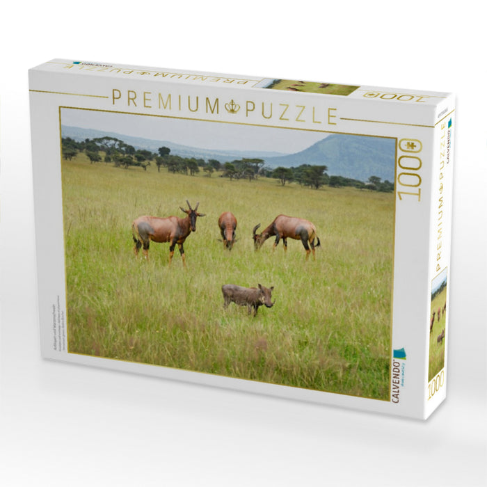 Antilopen und Warzenschwein - CALVENDO Foto-Puzzle'