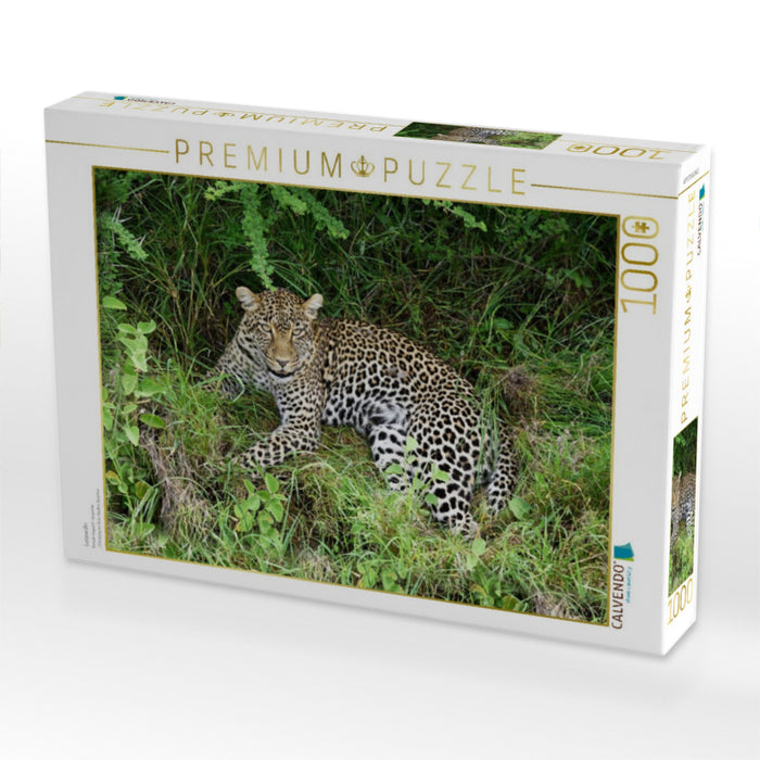 Leopardin - CALVENDO Foto-Puzzle'