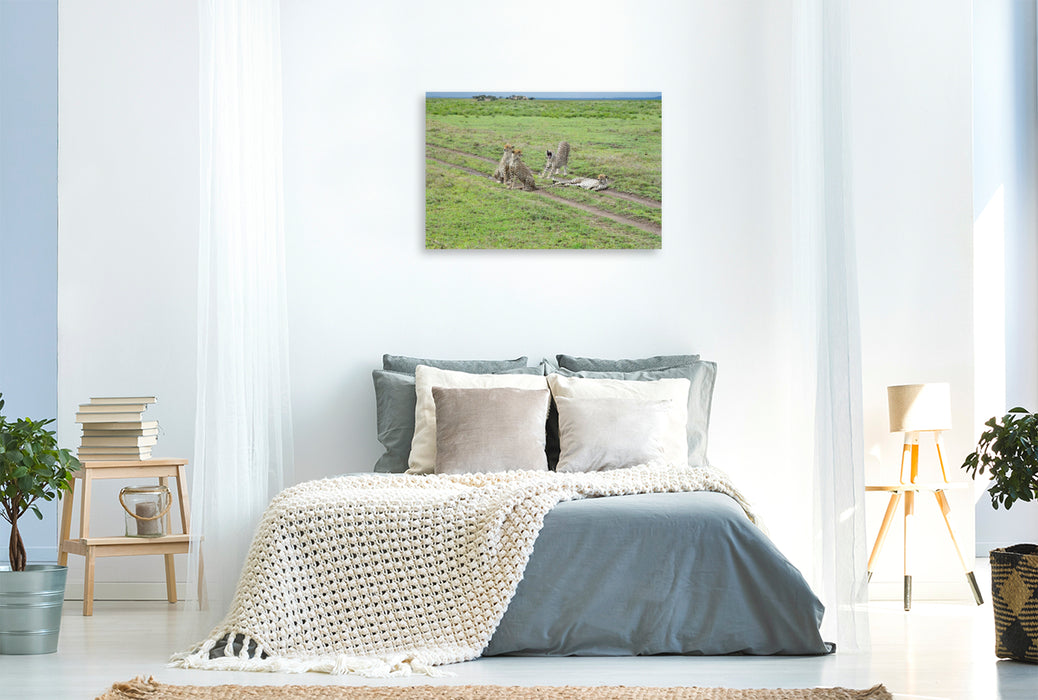 Premium Textil-Leinwand Geparden