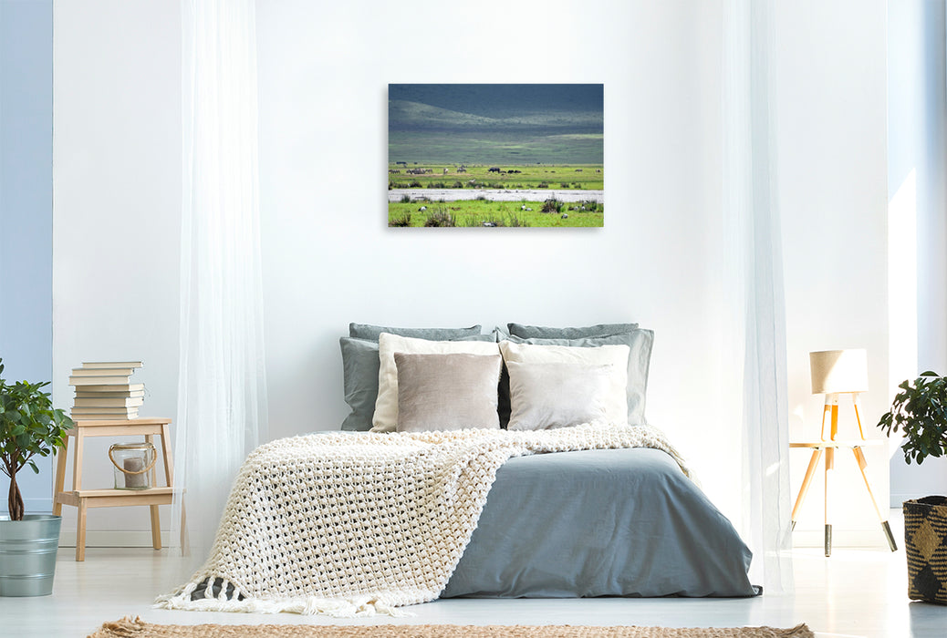 Premium Textil-Leinwand Nashorn