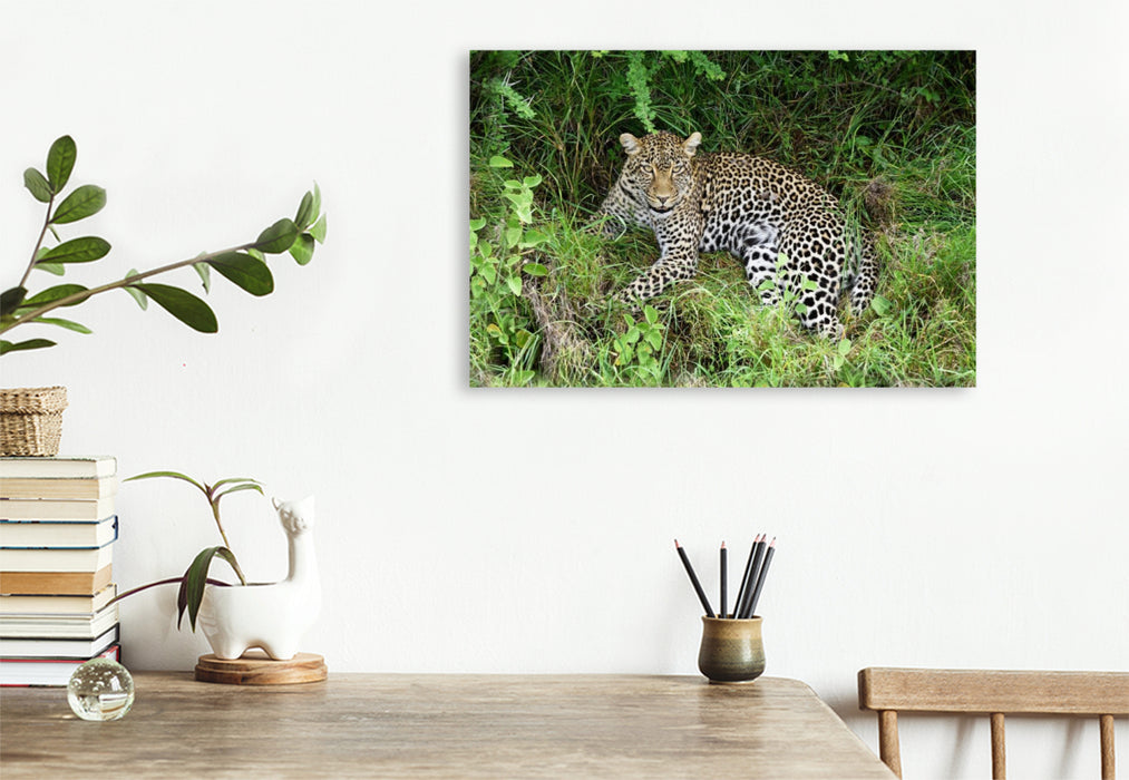 Premium Textil-Leinwand Leopardin