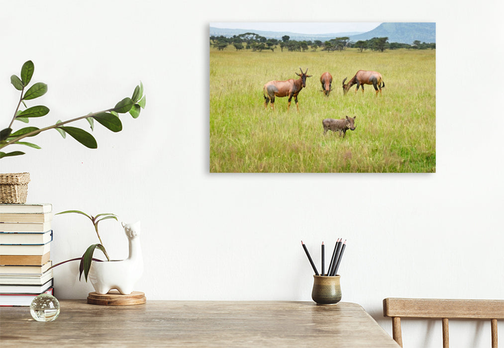 Premium Textil-Leinwand Antilopen und Warzenschwein
