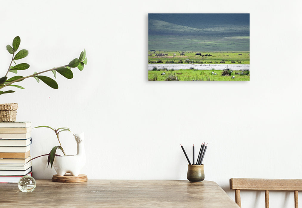 Premium Textil-Leinwand Nashorn