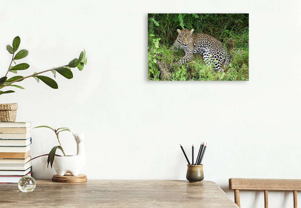 Premium Textil-Leinwand Leopardin