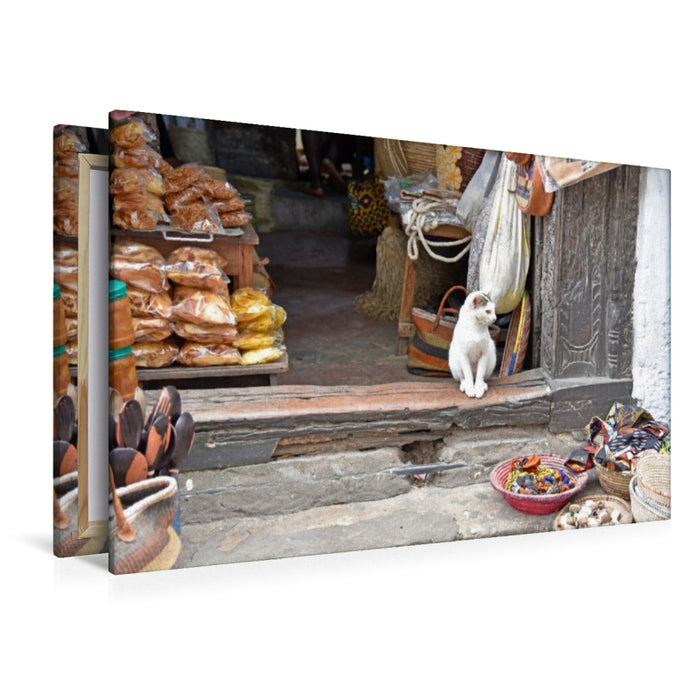 Premium Textil-Leinwand Katze in Stone Town