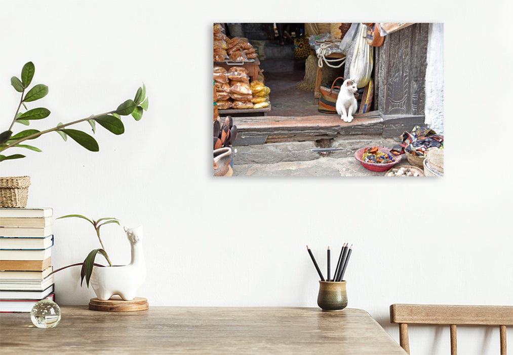 Premium Textil-Leinwand Katze in Stone Town
