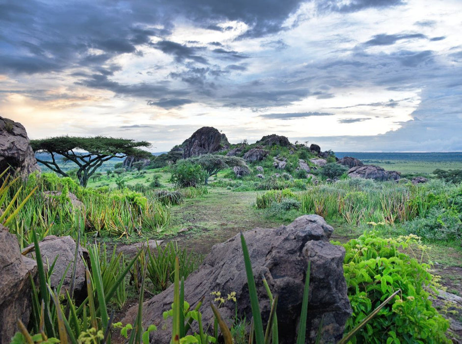 Ngorongoro-Schutzgebiet - CALVENDO Foto-Puzzle'