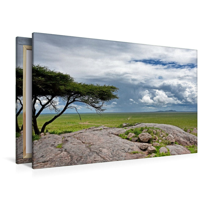 Premium Textil-Leinwand Serengeti-Nationalpark