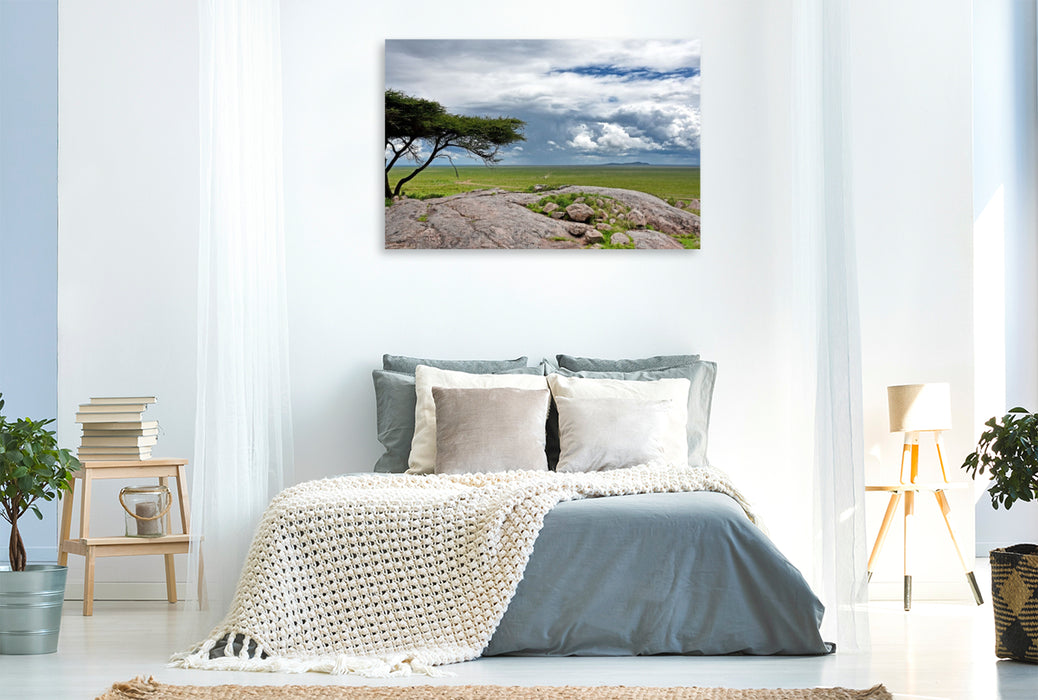 Premium Textil-Leinwand Serengeti-Nationalpark