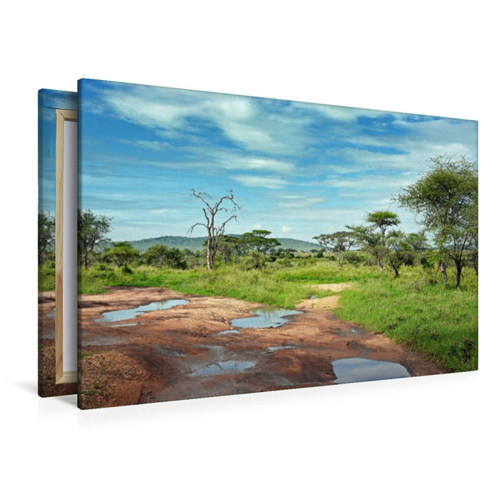 Premium Textil-Leinwand Tarangire-Nationalpark