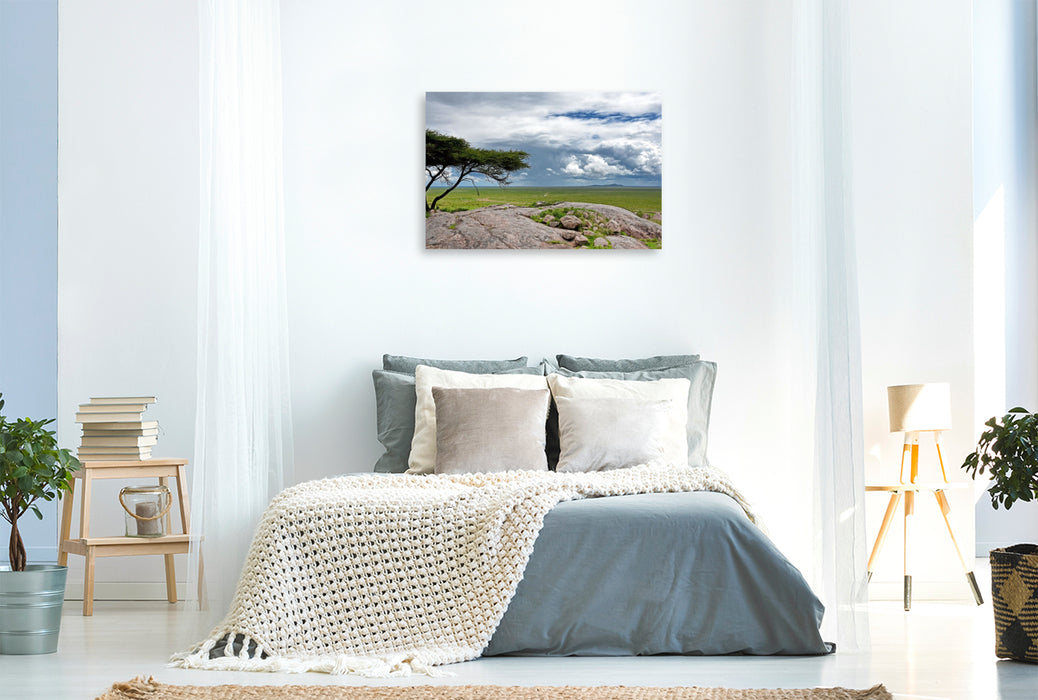 Premium Textil-Leinwand Serengeti-Nationalpark