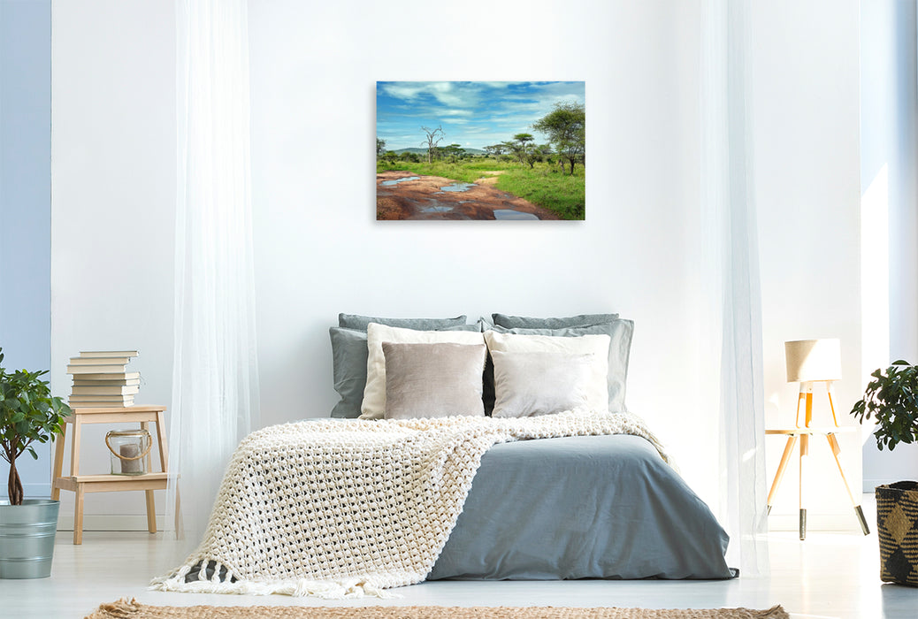 Premium Textil-Leinwand Tarangire-Nationalpark