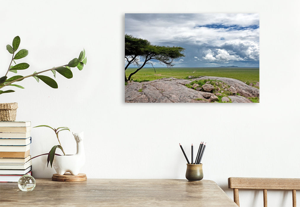Premium Textil-Leinwand Serengeti-Nationalpark