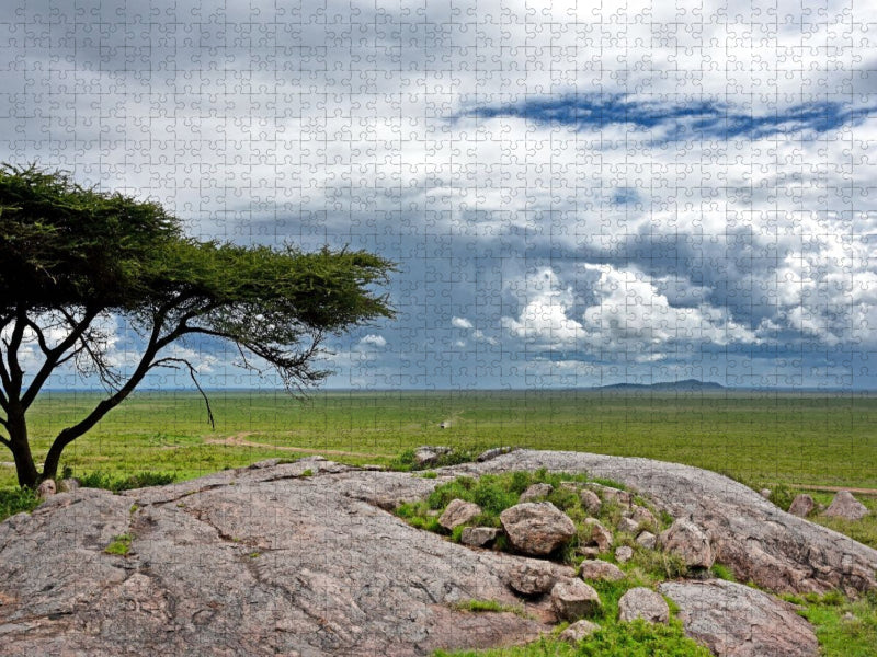 Serengeti-Nationalpark - CALVENDO Foto-Puzzle'