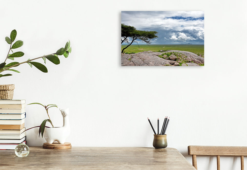 Premium Textil-Leinwand Serengeti-Nationalpark