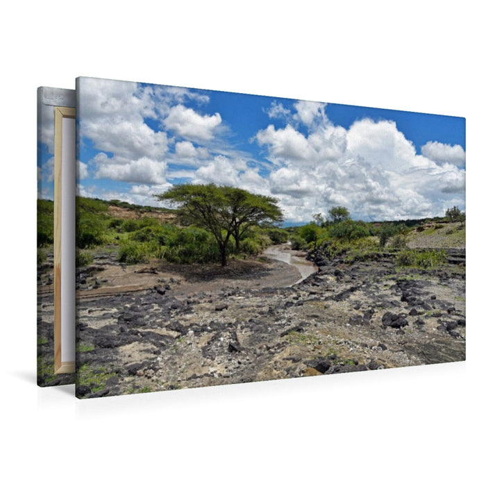 Premium Textil-Leinwand Olduvai-Schlucht