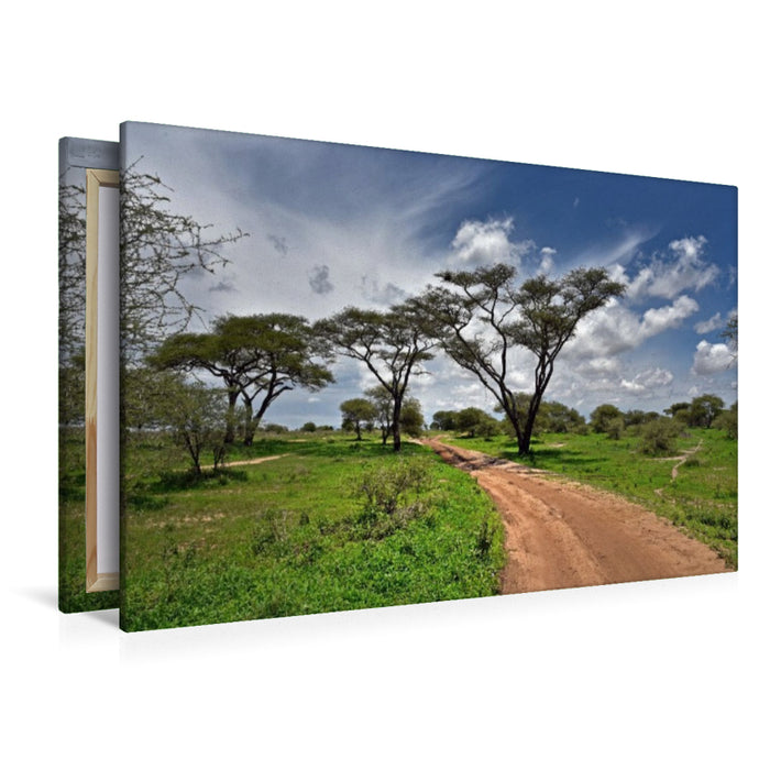 Premium Textil-Leinwand Tarangire-Nationalpark