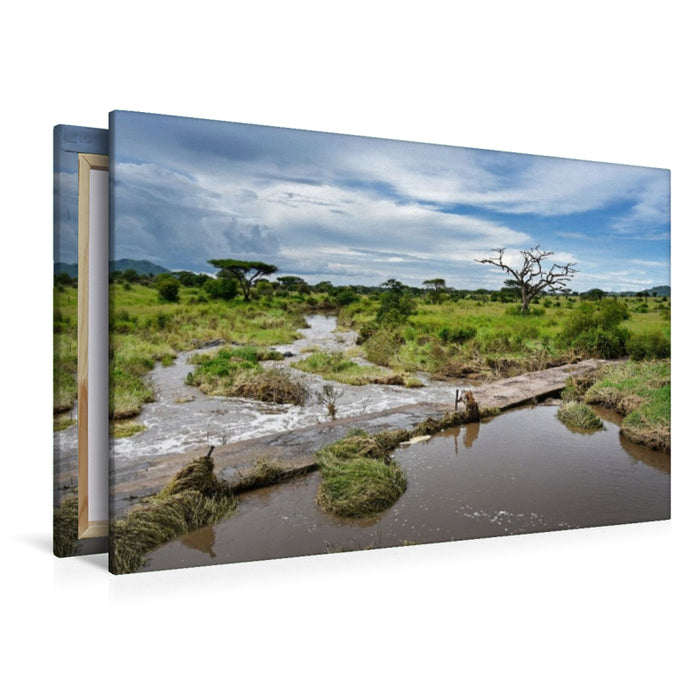 Premium Textil-Leinwand Serengeti-Nationalpark